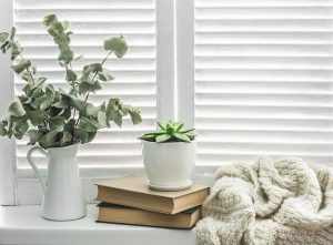 A relaxing environment with plants, a blanket and some books in front of a window representing a calm atmosphere to complete ADHD testing, Autism testing or any Psychoeducational Evaluations wanted. Get the clinical interview you've been looking for today!