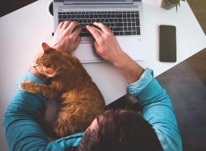 A top down view of a person typing on their laptop with their cat on their arm. This represents the support an online eating disorder therapist in Tampa, FL can offer with online eating disorder treatment in Tampa, FL. 
