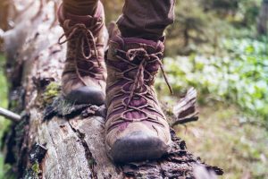 A close up of boots hiking across a fallen tree. Learn more about the benefits of walking and excercise by searching for St. Pete therapy. A therapist in St. Pete, FL can offer support with eating disorder treatment in St. Pete, FL and other services.